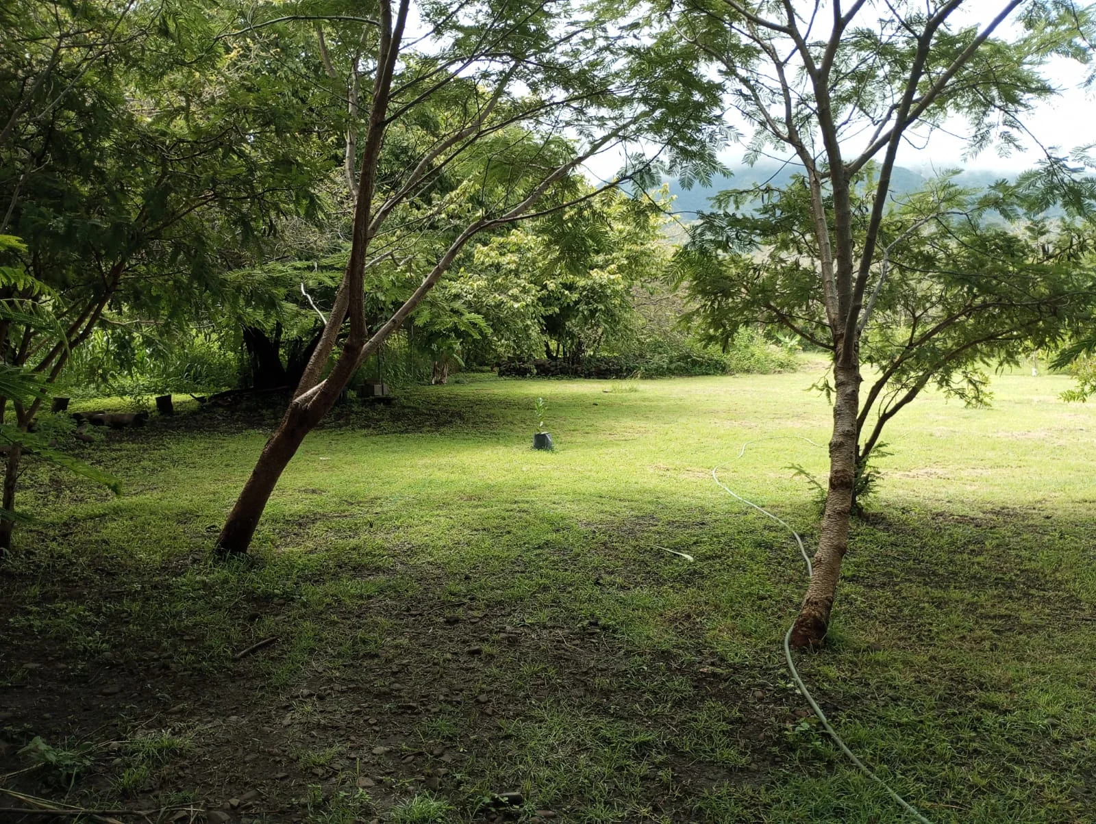 Terreno en San Luis Soyatlán, Tuxcueca - Terreno en Venta en San Luis Soyotlan Ribera de Chapala