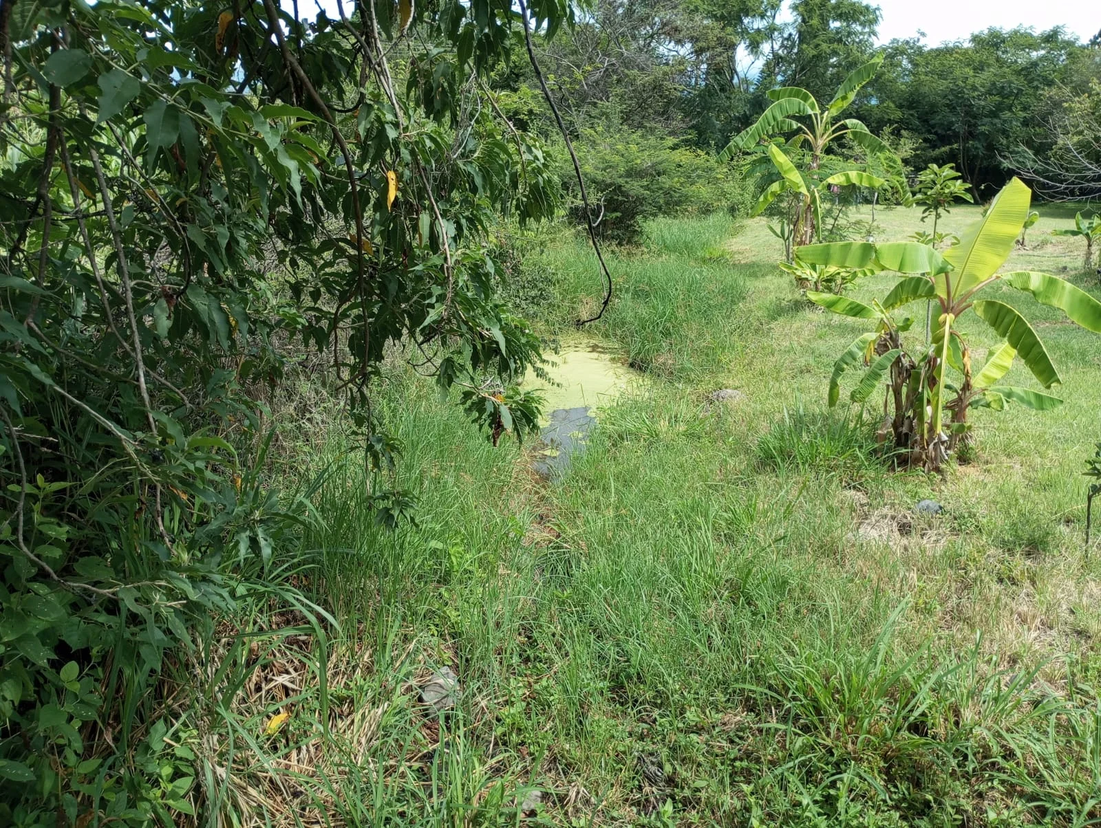 Terreno en Venta en San Luis Soyotlan Ribera de Chapala 4