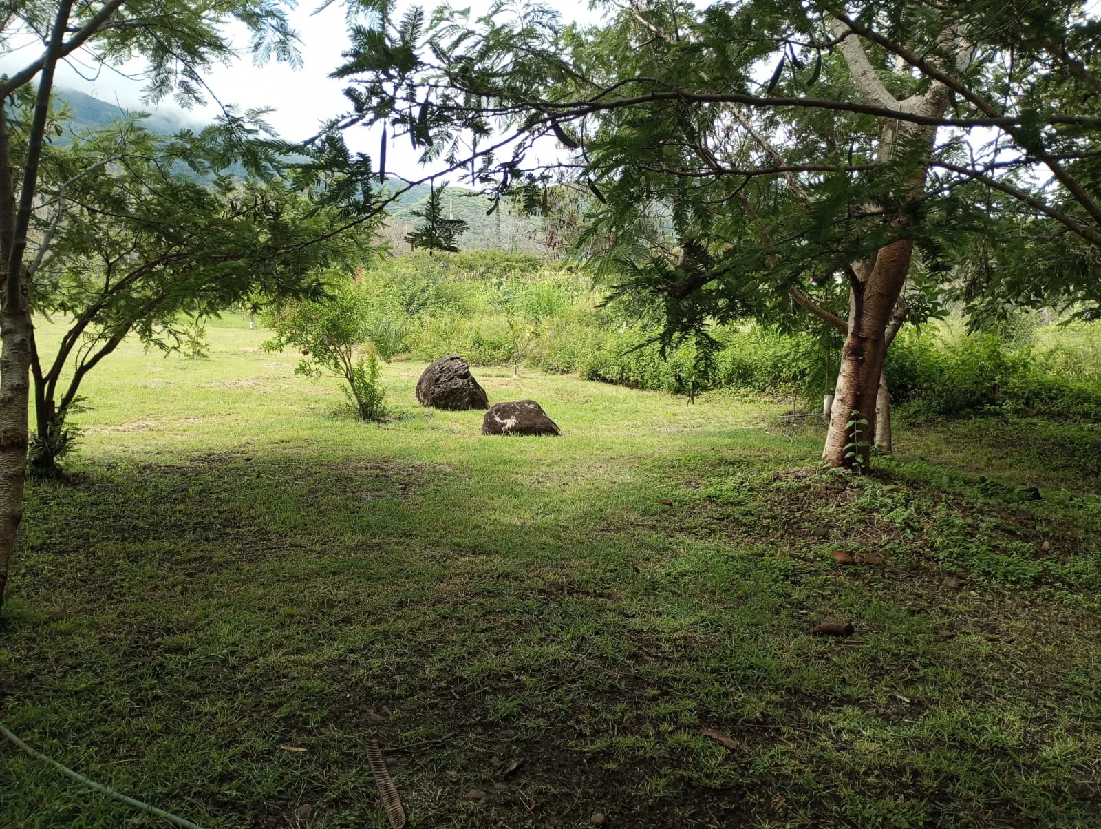 Terreno en Venta en San Luis Soyotlan Ribera de Chapala 2