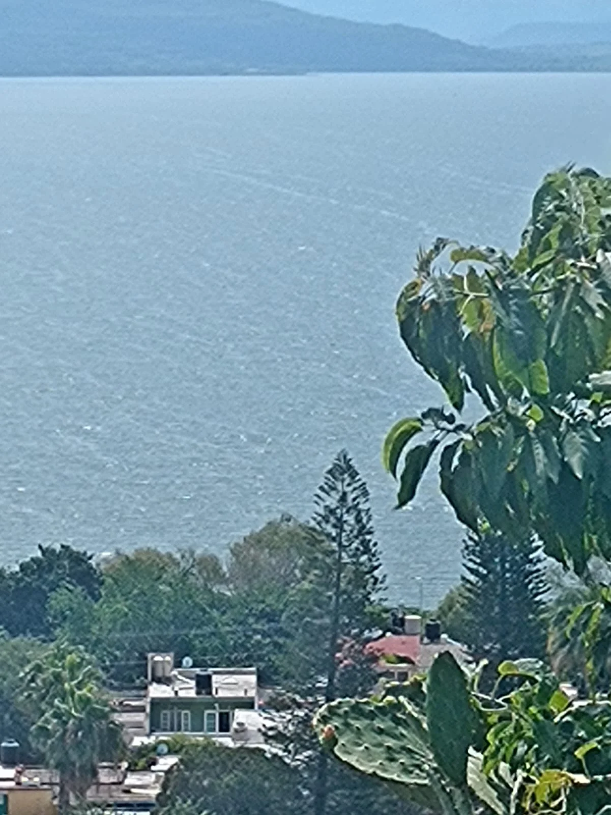 Terreno en Venta Cuexcomatitlan laguna Cajititlan 3